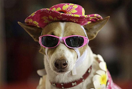 Picture 6 of Animal photos of the week