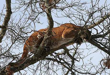Picture 7 of Animal photos of the week