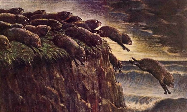 Picture 2 of Animals also commit suicide like humans