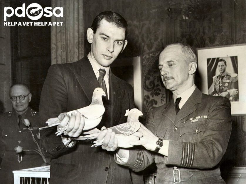 Picture 5 of Animals are honored by courage