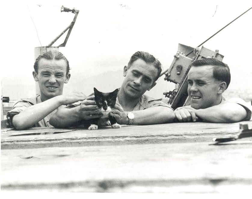 Picture 8 of Animals are honored by courage