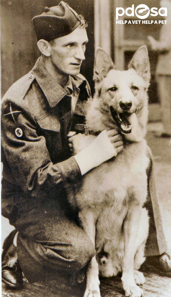 Picture 9 of Animals are honored by courage