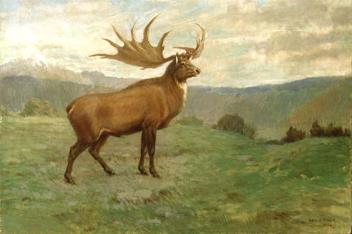 Picture 5 of Animals are only in legend