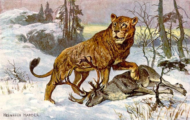 Picture 9 of Animals are only in legend