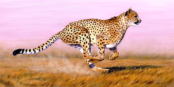 Picture 13 of Animals break every record