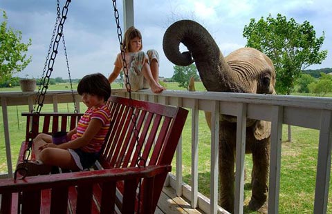 Picture 7 of Animals make friends with people