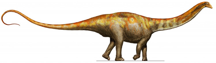 Picture 1 of Animals push back dinosaurs to eat meat with a tail