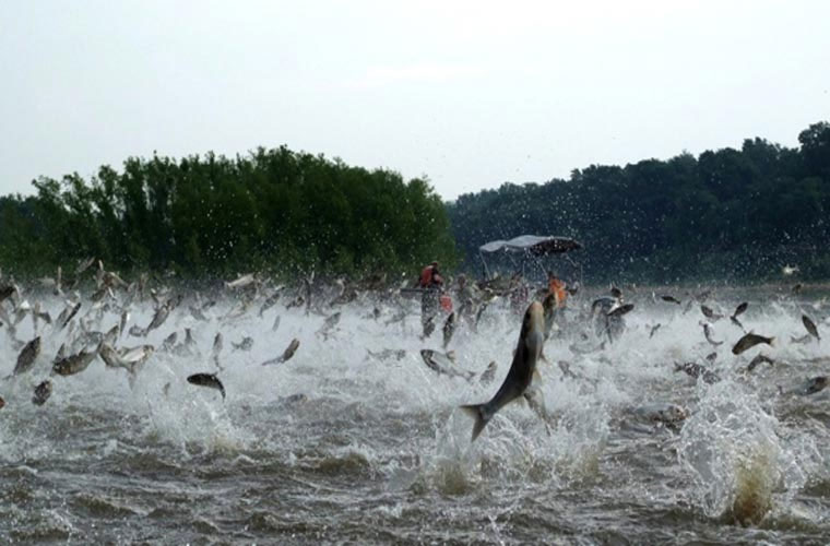 Picture 10 of Animals take human life in the blink of an eye