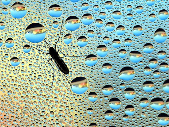 Animate life around the Earth images 5