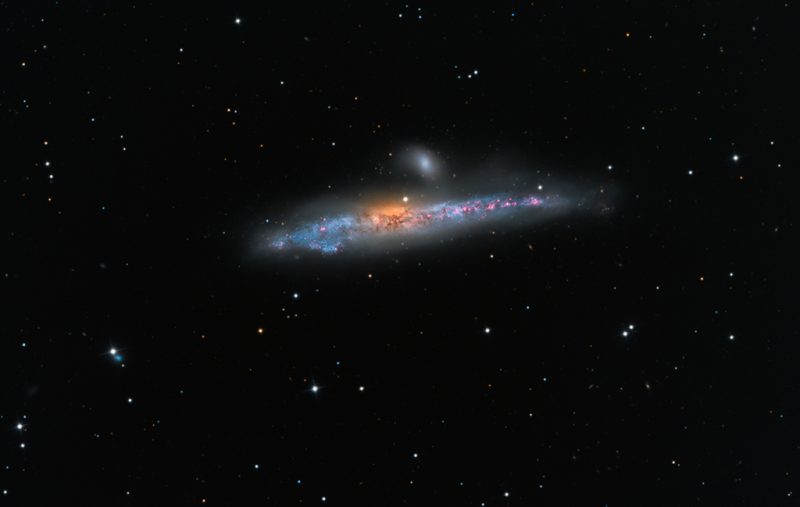 Picture 1 of Animate the space whale image