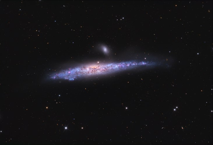 Picture 2 of Animate the space whale image