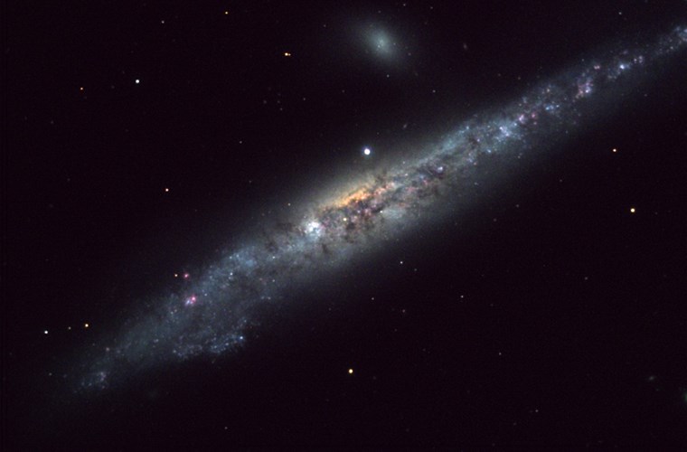 Picture 3 of Animate the space whale image