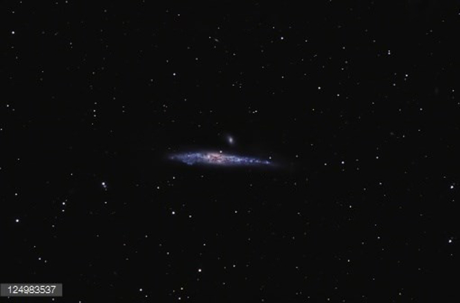 Picture 4 of Animate the space whale image