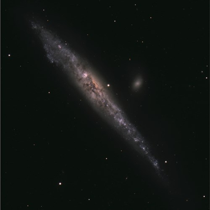 Picture 5 of Animate the space whale image
