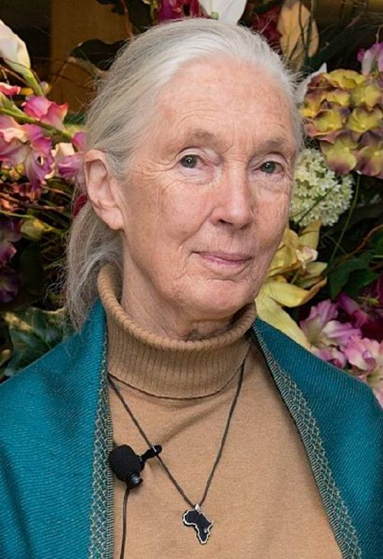 Picture 15 of Anonymous female scientists contribute to changing the world