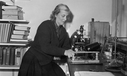 Picture 8 of Anonymous female scientists contribute to changing the world
