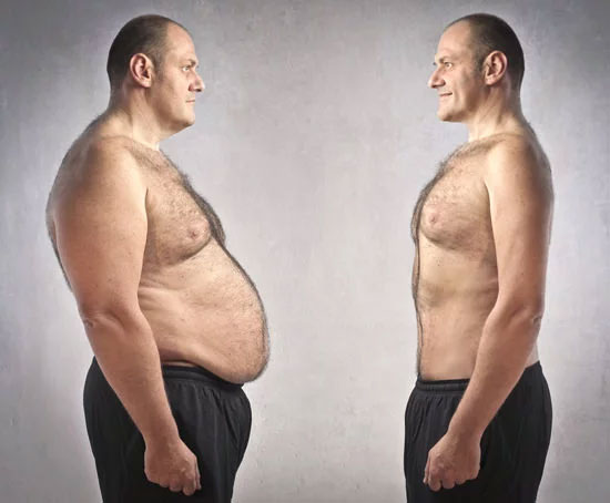 Picture 3 of Answer the secret: Where does the fat go when you lose weight?