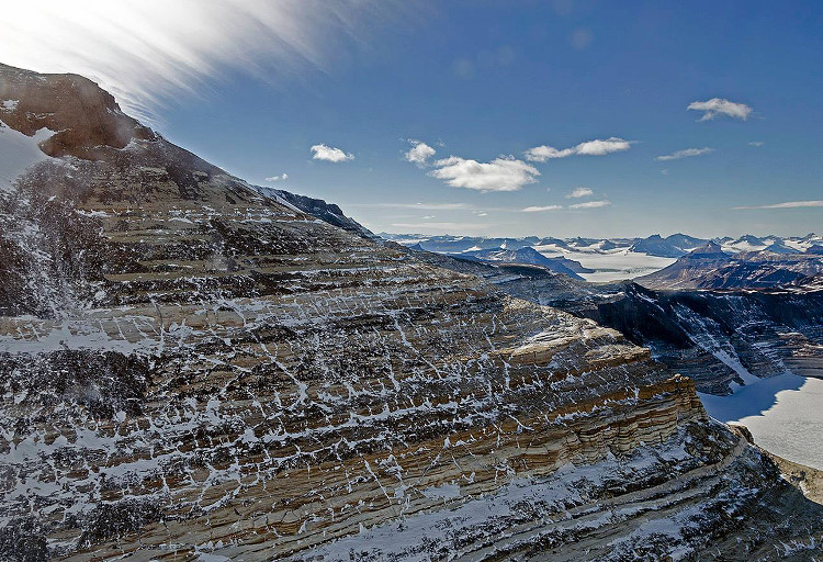 Picture 1 of Antarctic forest before the great extinction 252 million years ago