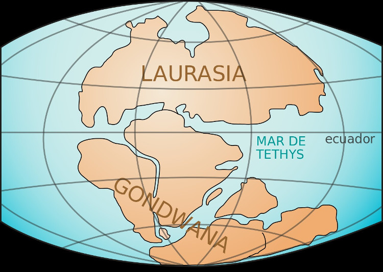 Picture 2 of Antarctic forest before the great extinction 252 million years ago