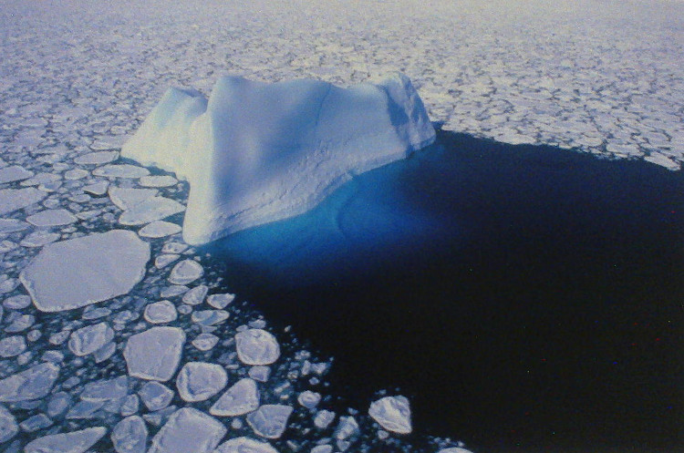 Picture 2 of Antarctic ice may have begun to melt due to El Nino from the 1940s