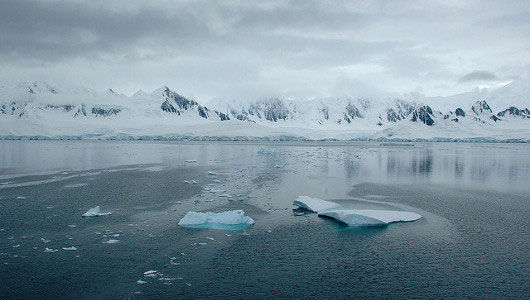 Picture 1 of Antarctic Project-100: Russian divers reach the world record