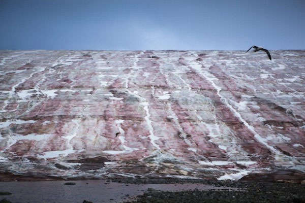 Picture 3 of Antarctic snow ice is not only white