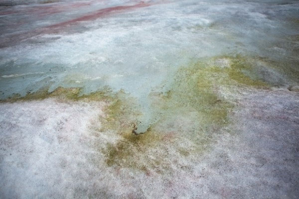 Picture 4 of Antarctic snow ice is not only white