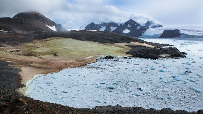 Picture 5 of Antarctic snow ice is not only white