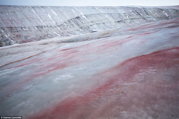 Picture 6 of Antarctic snow ice is not only white