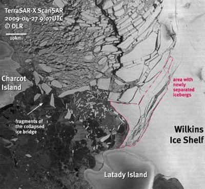 Picture 1 of Antarctica lost bigger ice mass than Singapore