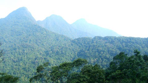 Picture 2 of Anti-CO2 emissions: Vietnam is at the forefront of the region