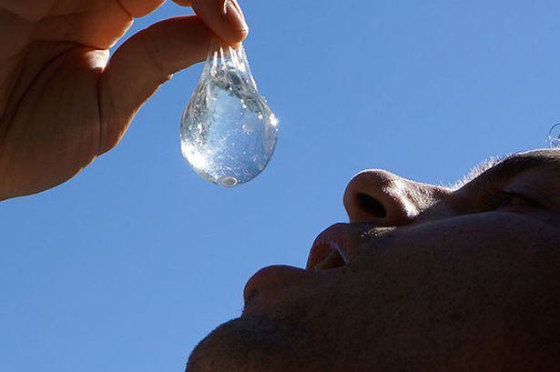 Picture 3 of Anti-garbage with shells 'bottles' of edible water
