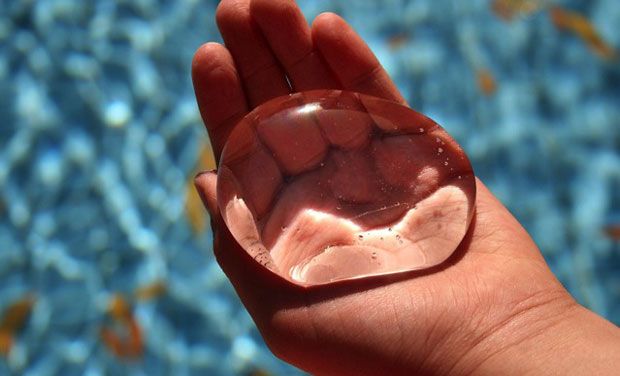 Picture 4 of Anti-garbage with shells 'bottles' of edible water