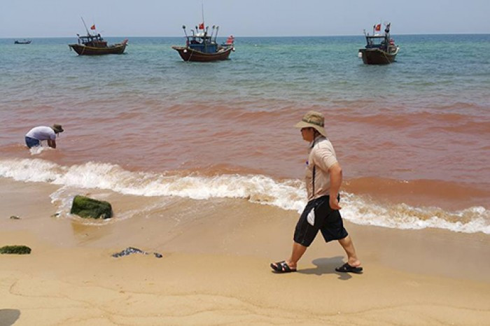 Picture 1 of Appears a red streak of 1.5km close to Quang Binh coast