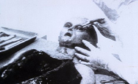 Picture 5 of Appears alien evidence to America