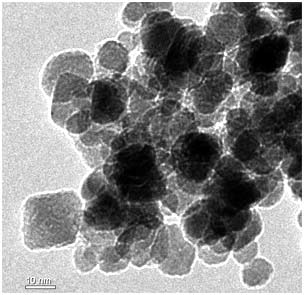 Picture 1 of Application of elastic magnetic fluids for nuclear magnetic resonance imaging