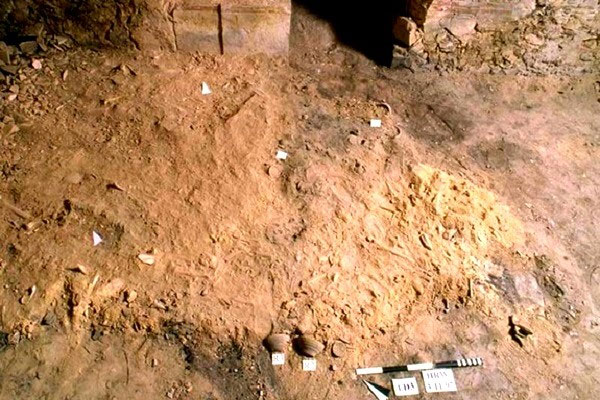 Picture 3 of Archaeological remains of victims of epidemics 'Apocalypse Day' Egypt