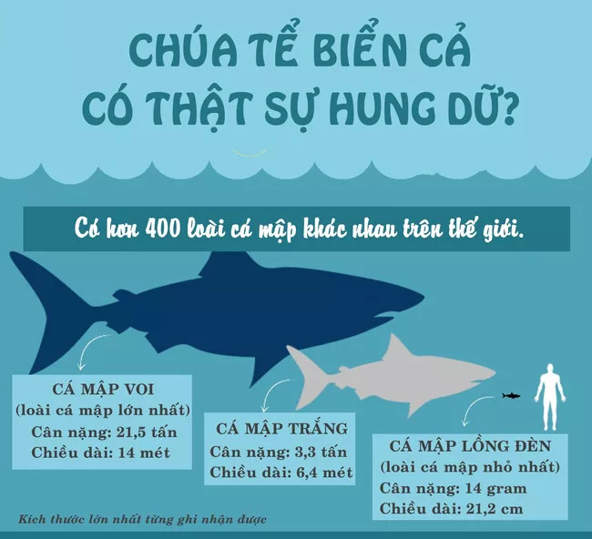 Picture 2 of Are sharks the most dangerous creature on earth?