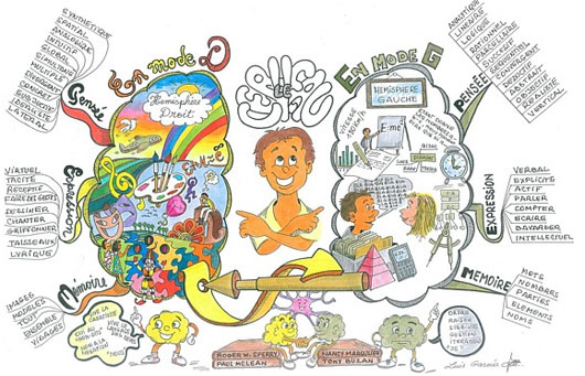 Picture 4 of Are we only using 10% of the brain?