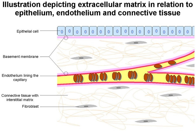 Picture 3 of Are you killing a lot of bacteria under each of your steps?