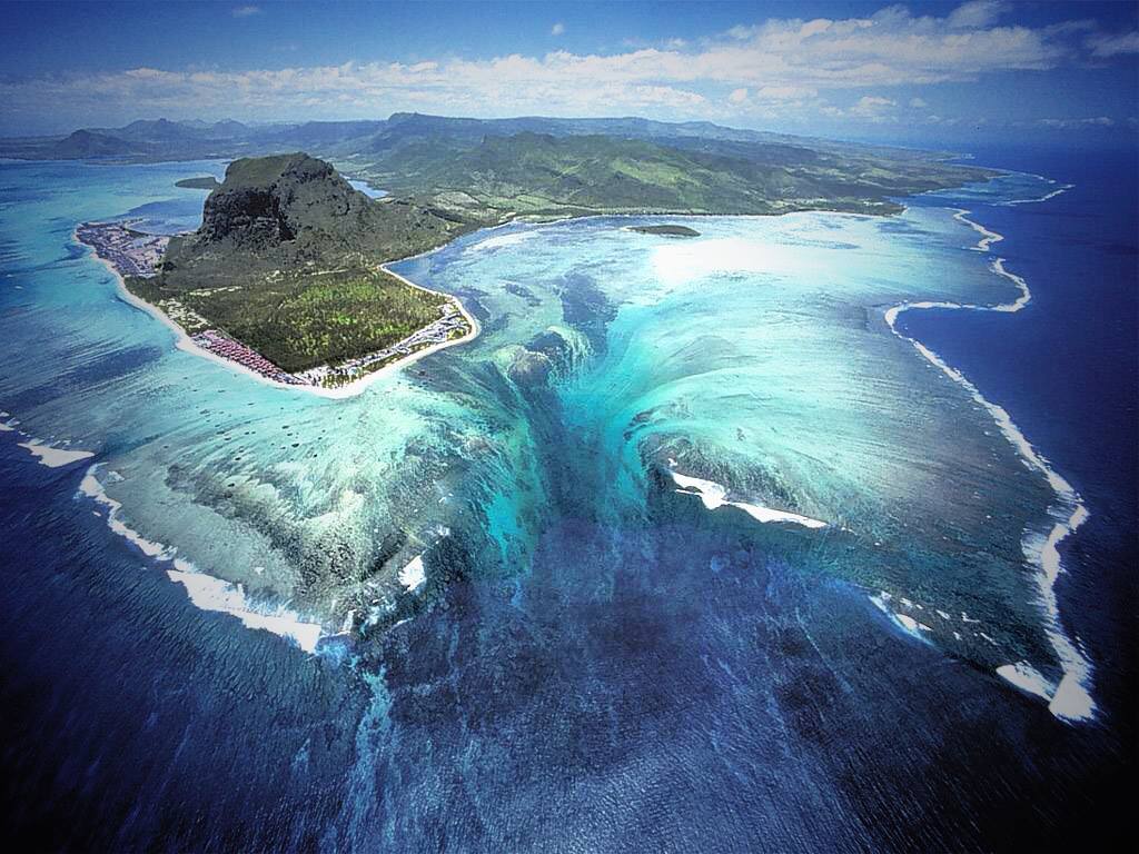 Picture 1 of Are your eyes fooled by nature?
