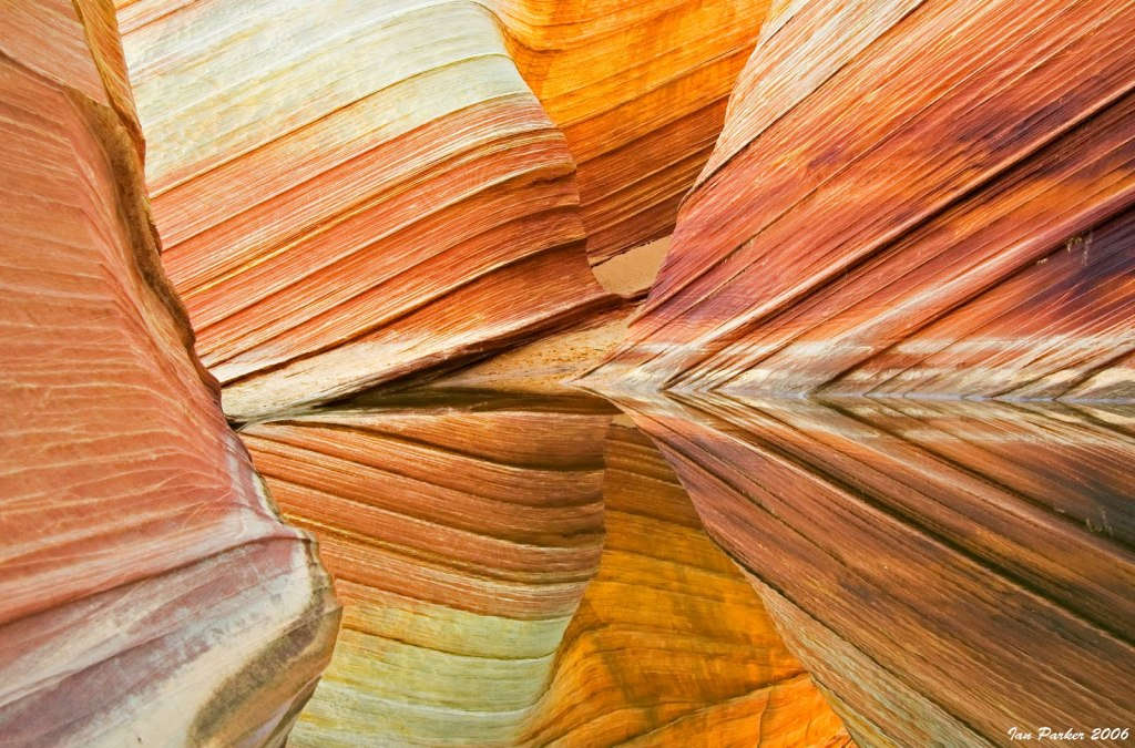Picture 10 of Are your eyes fooled by nature?