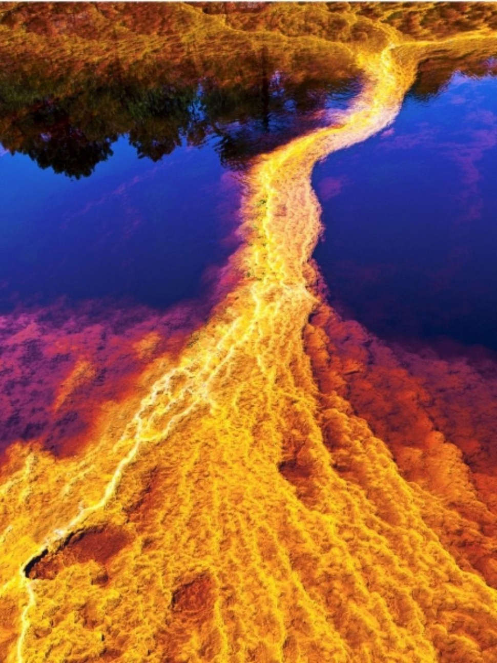 Picture 12 of Are your eyes fooled by nature?
