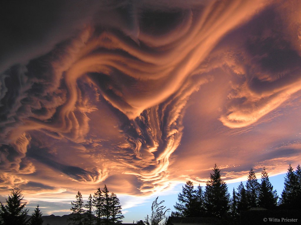 Picture 4 of Are your eyes fooled by nature?