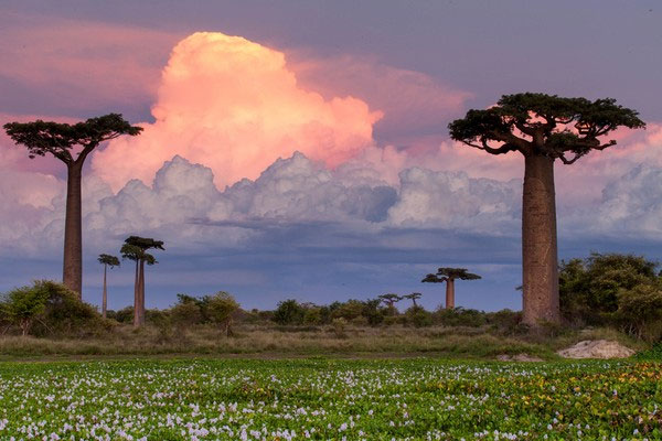 Picture 15 of Around the world through