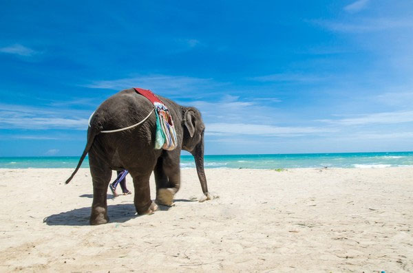 Picture 7 of Around the world through