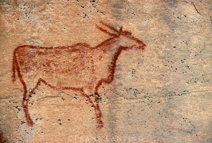 Picture 10 of Art stone cave at Tsodilo hill