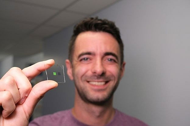 Picture 1 of Artificial 'blades' have the ability to distinguish the age of whiskey