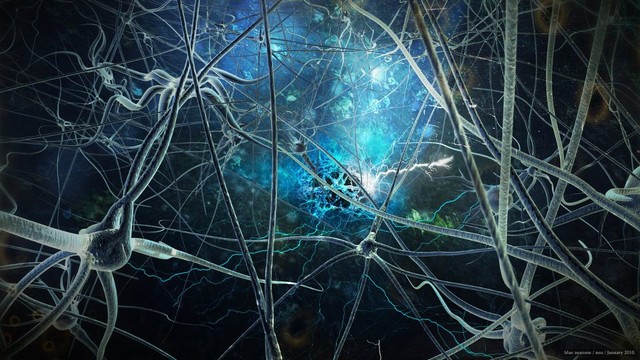 Picture 4 of Artificial brain - the door to open life