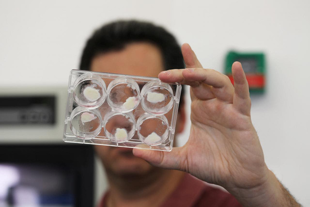 Picture 1 of Artificial meat 'crowned' next 2 years?